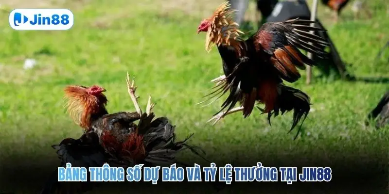 Đá Gà Thomo JIN88 – Quy Tụ 10+ Trận Đấu Mỗi Ngày - hình ảnh - jin88.uk.cc