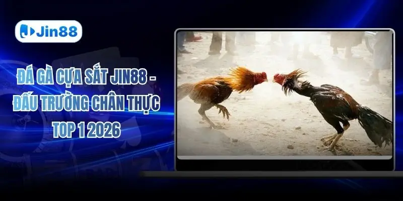 Đá gà JIN88 – jin88hvcam - hình ảnh - jin88.uk.cc